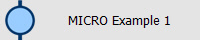 MICRO Example 1