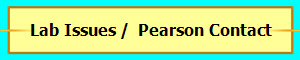 Lab Issues /  Pearson Contact