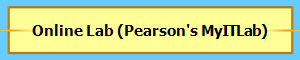 Online Lab (Pearson's MyITLab)