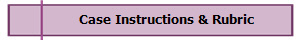 Case Instructions & Rubric