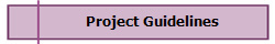 Project Guidelines